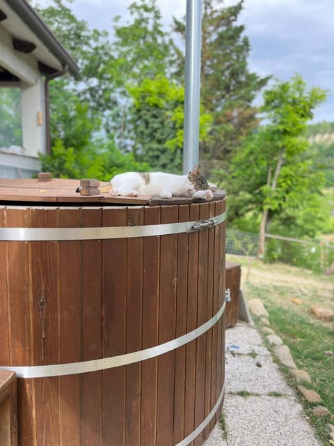 Garden, Hot Tub, Swimming pool