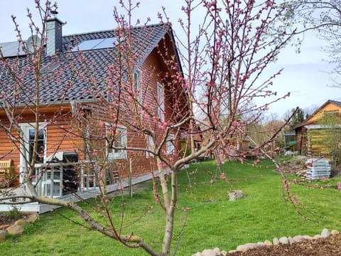 Property building, Summer, Garden