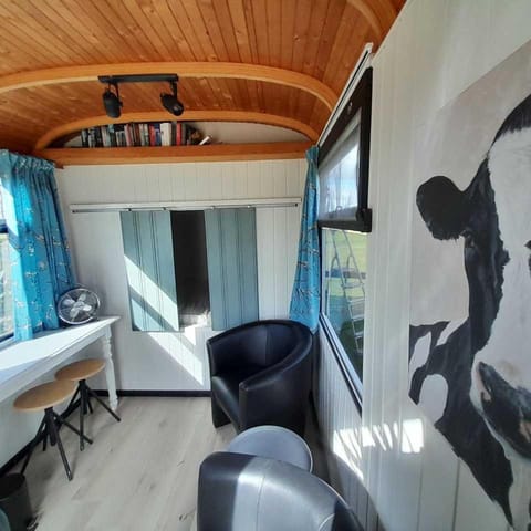 Bed, Living room, Photo of the whole room, Dining area