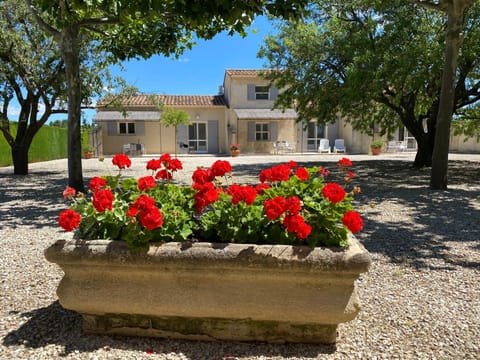 Property building, Garden, Garden view