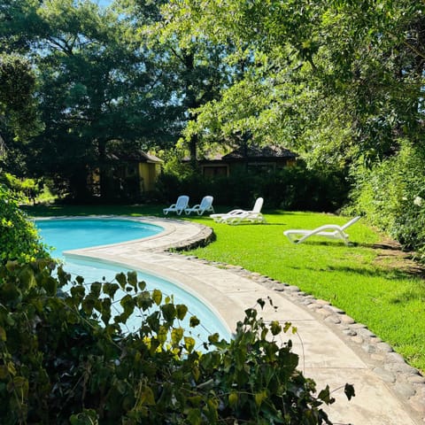 Garden, Garden view, Swimming pool