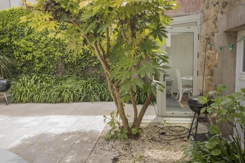 Large house 80m from the port of Paimpol - four bedrooms House in Paimpol