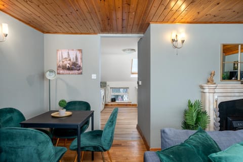 Shannon View Jungle House House in Athlone