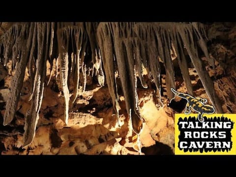 Lakeside Laziness 28-4 By SDC, Big Deck, Pool, Hot Tub, Pets Ok, Resort On Lake Apartment in Indian Point