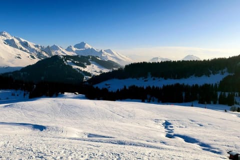 Logement 3 étoiles avec vue imprenable sur les montagnes, ski bus Apartment in Manigod