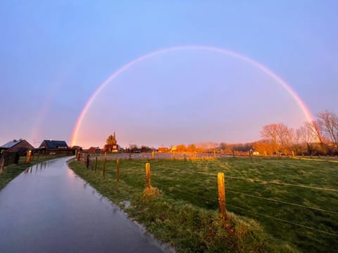 Day, View (from property/room)