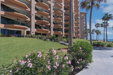 Property building, Spring, Day, Garden