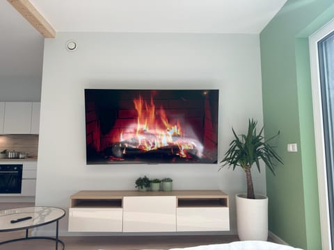 Communal lounge/ TV room, TV and multimedia, Living room