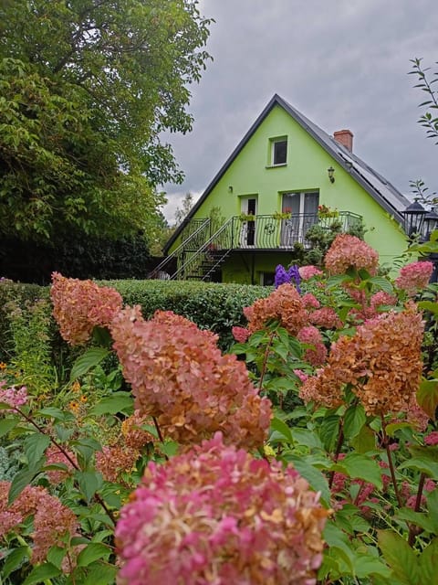 Property building, Garden view