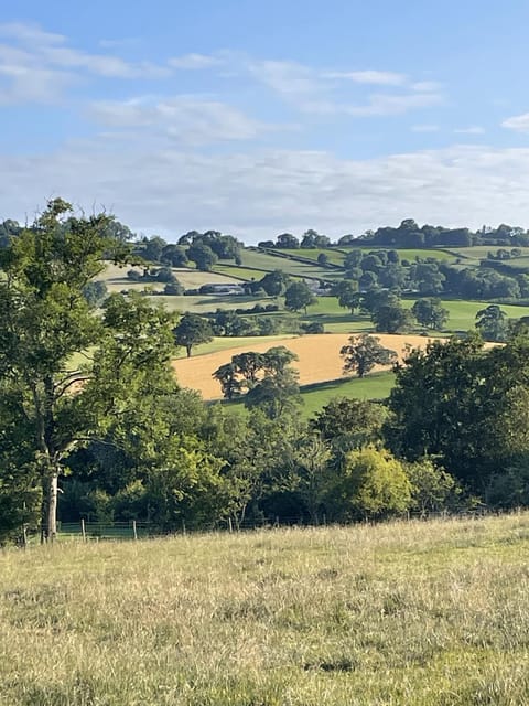 Nearby landmark, Natural landscape