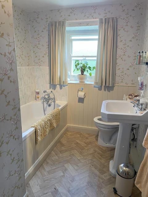 Shower, Toilet, Bathroom, Bath