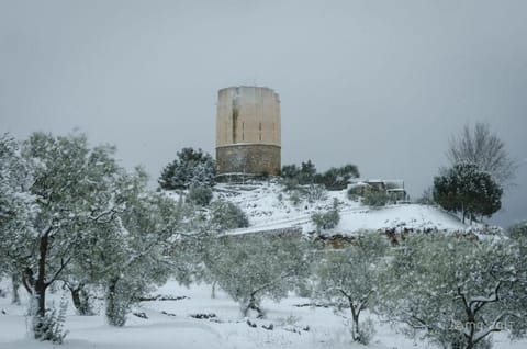 Apartamento Roma Apartment in Sierra de las Nieves