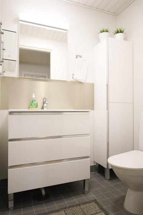 Uniikki kolmio Aurajokinäkymin Apartment in Turku