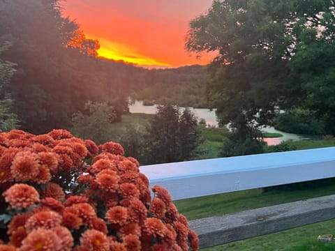 foresthaus House in Glücksburg