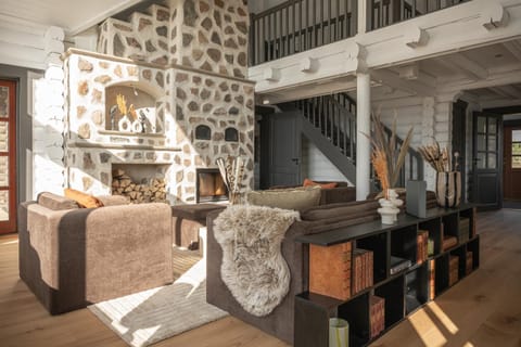 Living room, Lounge or bar, fireplace