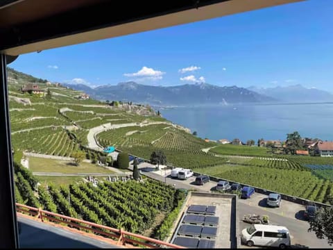 Lavaux nice place in Swiss French part Apartment in Fribourg, Switzerland