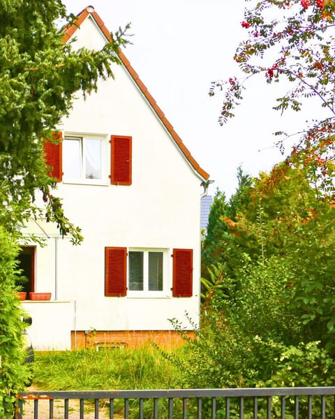 Property building, Spring, Day, Garden