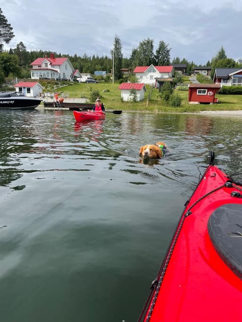 Natural landscape, Pets, Lake view