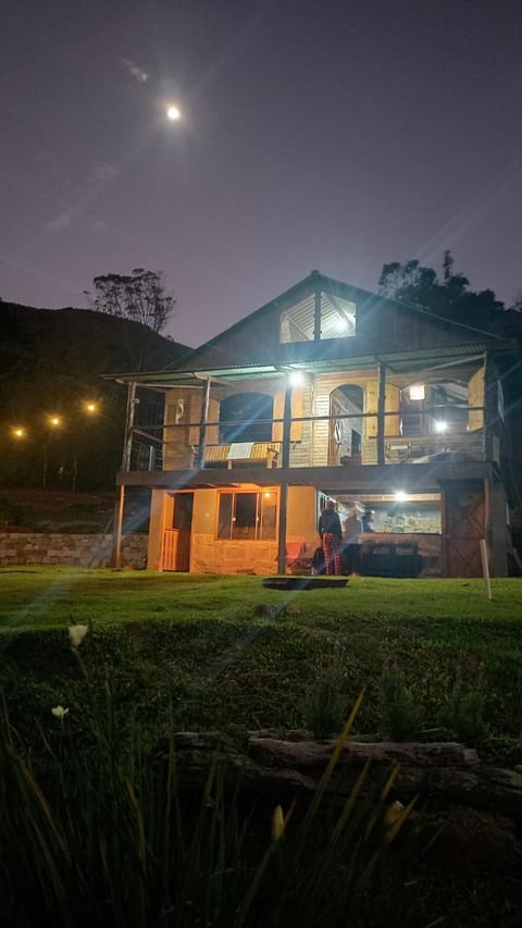 Night, Garden, pet friendly