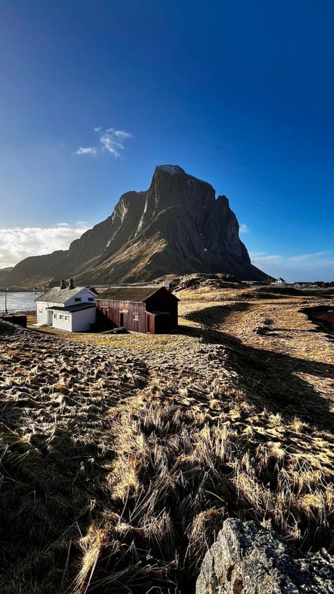 Prestholmen Værøy Lofoten House in Lofoten