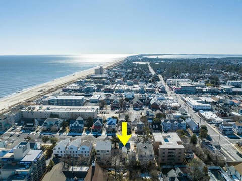 Maryland gardens 19d House in Henlopen Acres