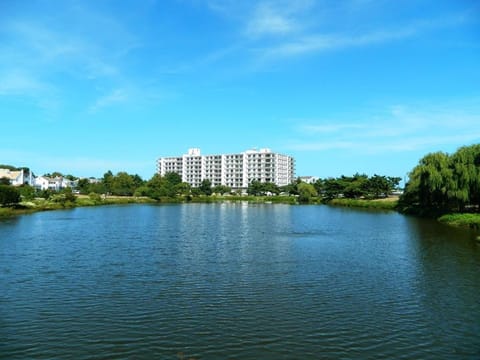 The henlopen 516 House in Henlopen Acres