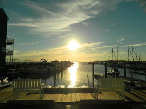 Marina view 207 House in Dewey Beach