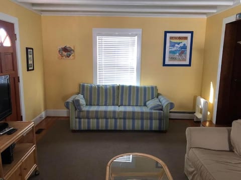 Lake avenue 21 House in Henlopen Acres