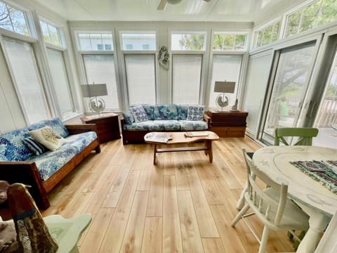 Read avenue 118 House in Dewey Beach