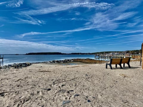 Read avenue 118 House in Dewey Beach