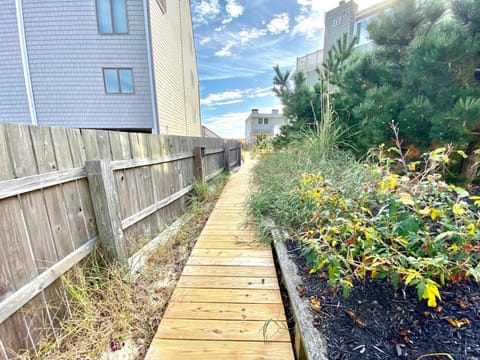 The perch 14 House in Dewey Beach