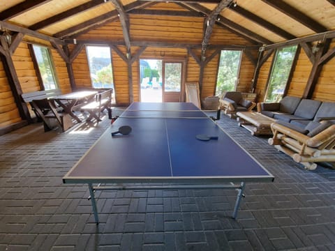 Game Room, Table tennis
