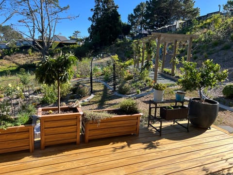 Patio, Balcony/Terrace