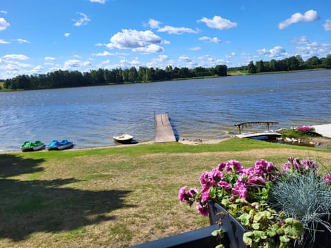 Šilainė Glamping & SPA, Padel court Campground/ 
RV Resort in Lithuania