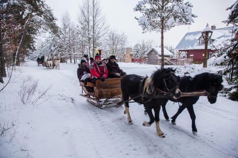 Šilainė Glamping & SPA, Padel court Campground/ 
RV Resort in Lithuania