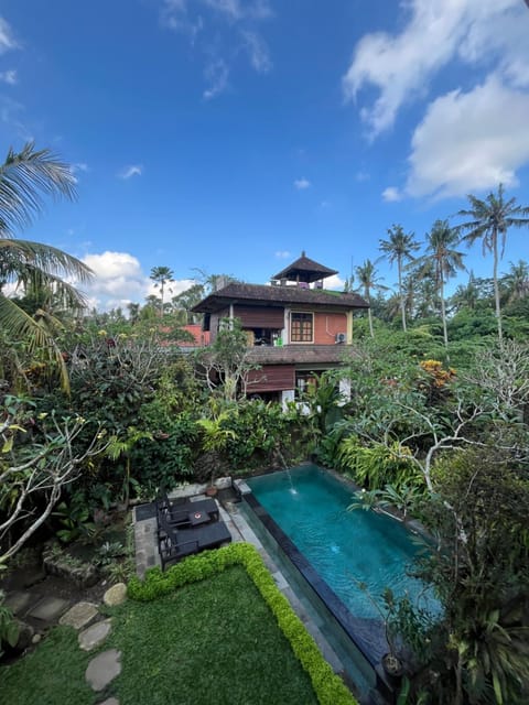 Property building, Garden, Garden view, Pool view, Swimming pool