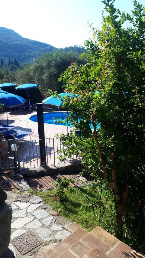 Pool view, Swimming pool, Swimming pool, sunbed
