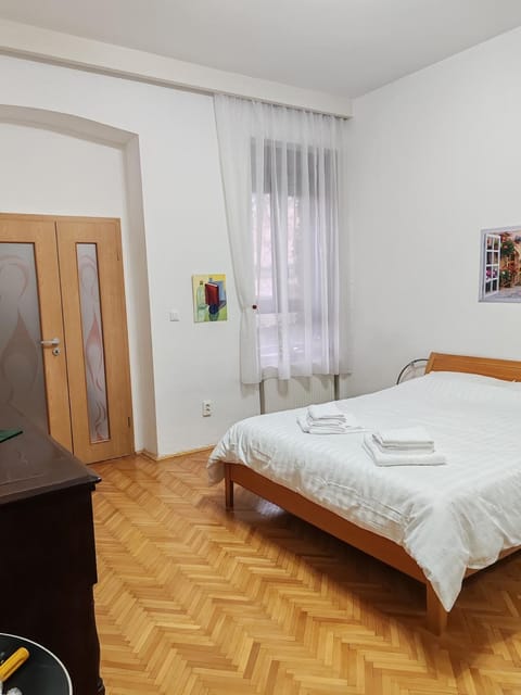 Apartment in the historical house Apartment in Timisoara