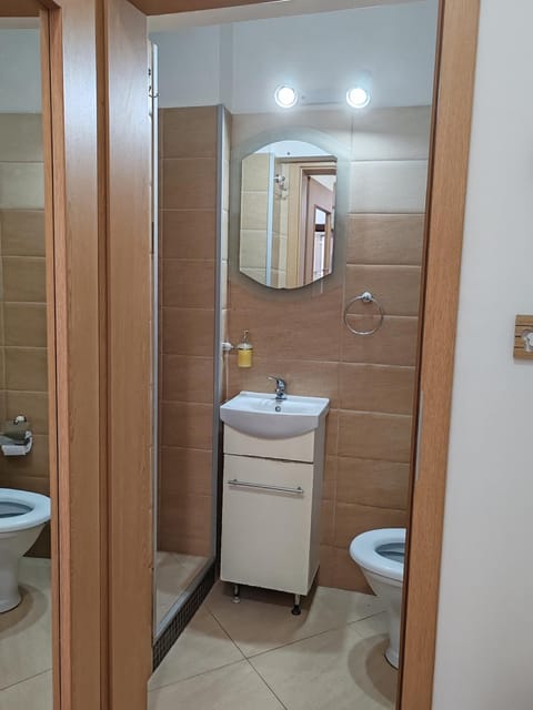 Apartment in the historical house Apartment in Timisoara