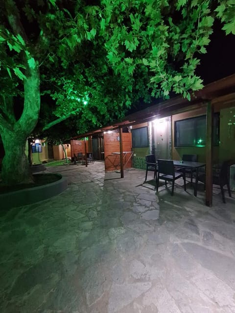 Night, Garden, Dining area, Garden view