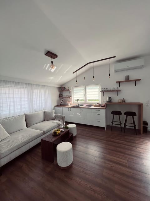 Kitchen or kitchenette, Living room