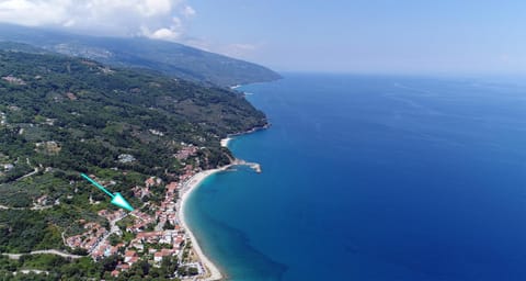 Day, Bird's eye view