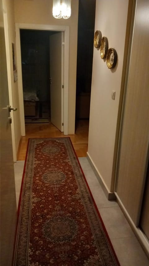 Apartman DIMITRIJEVIC Apartment in Vojvodina