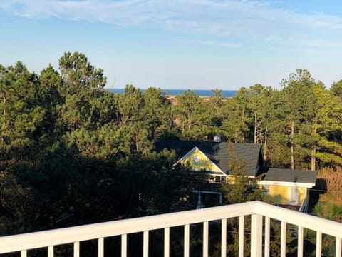 Cardinal lane 15 House in Rehoboth Beach