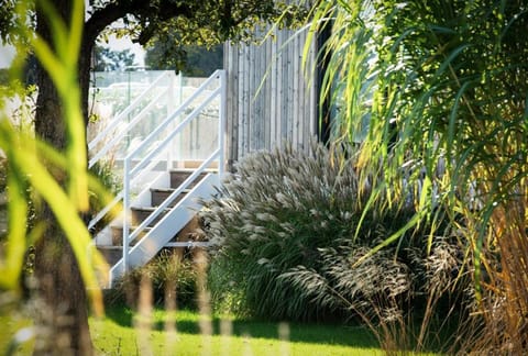 Day, Natural landscape, Garden, Garden view