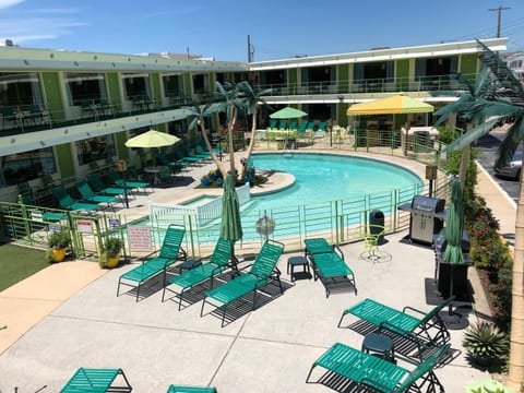 Patio, BBQ facilities, Evening entertainment, Area and facilities, Swimming pool
