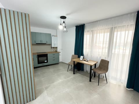 Kitchen or kitchenette, Dining area, oven, stove