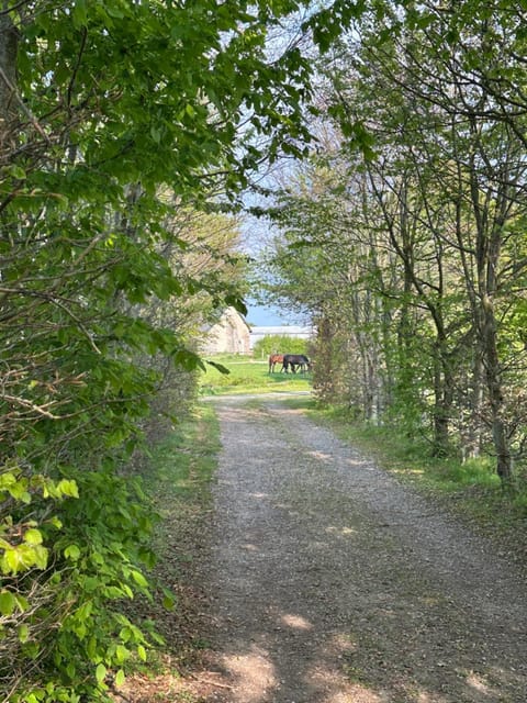 Longère normande avec piscine et jardin House in Normandy