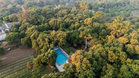 Garden, Swimming pool