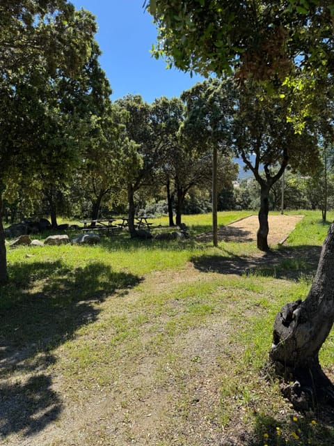 Natural landscape, Garden, Garden view